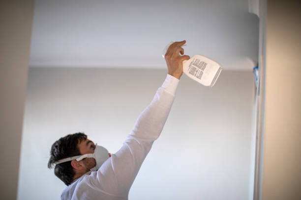 Mold Removal Process in Windber, PA